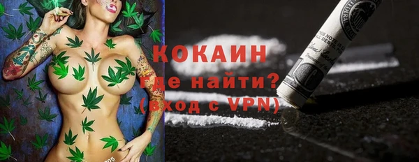молекула духа Алексеевка