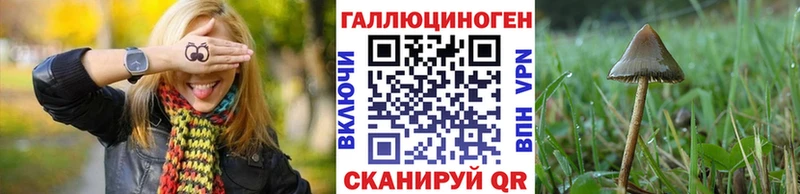 как найти закладки  Новозыбков  Галлюциногенные грибы ЛСД 
